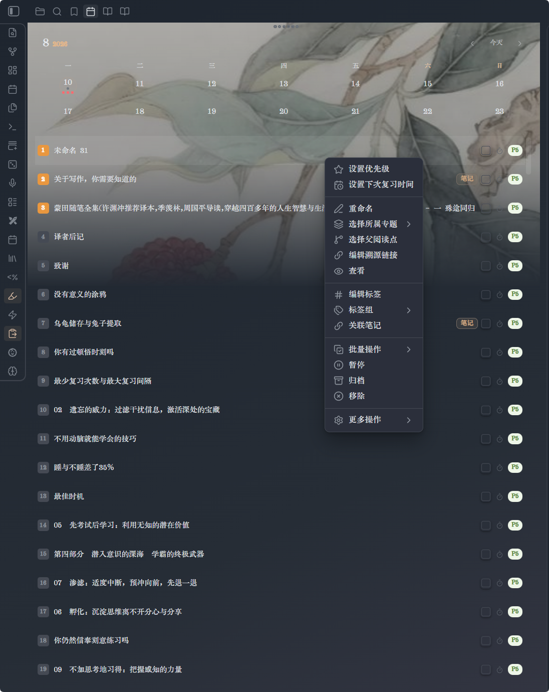 Incremental Reading 主界面